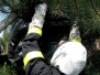 Likvidace nebezpečného hmyzu 20.5.2011