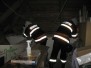 Likvidace nebezpečného hmyzu 5.9.2011