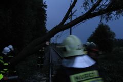 Spadlý strom na železniční trati 23.7.2009