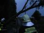 Spadlý strom na železniční trati 23.7.2009