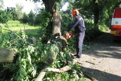 Spadlý strom ul. V Aleji 6.7.2012