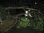Spadlý strom v ul. Na Obci 22.6.2011