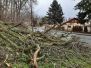 Vichřice Sabina 10.2.2020