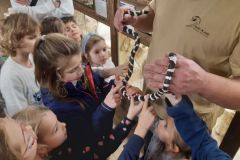 Výlet do světa plazů